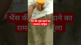 Bhains ki Bhook badhane ka formula ।। Dr Suresh Jangir