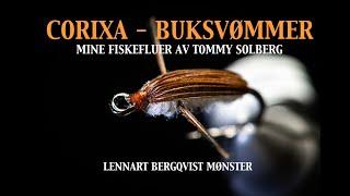 Corixa - buksvømmer, fluefiske, imitasjonsfiske og mine fiskefluer.