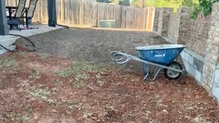 Backyard Renovation: End of Day 5