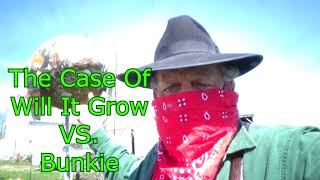 The Case Of Will It Grow VS  Bunkie and The Vineyard Chicks