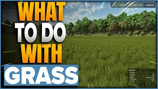 What To Do With Grass In Farming Simulator 25