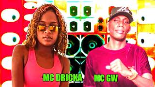 MC DRICKA E MC GW AS MELHORES DO BAILAO  FUNK PRA  2020