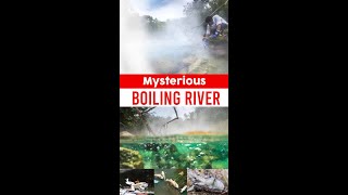 Mysterious Boiling River 😱😨🙀   #Shorts