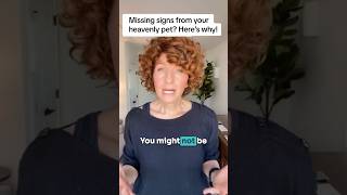 Missing signs from your pet in Heaven? Here's Why! #pets #heaven #shorts