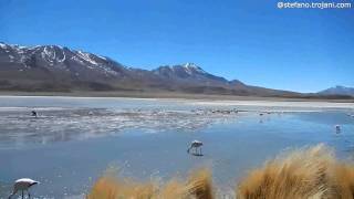 Camino Real - Perù e Bolivia - Freedom