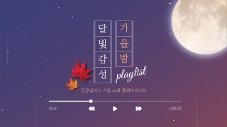 가을밤 달빛감성 🌙 | 가을에 듣기 좋은 노래 |가을과 어울리는 연주곡 |  [Autumn feeling playlist]