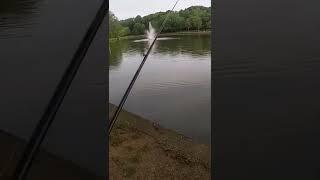 Fishing fails decorating the pond lol 😂 nothing I could do about this one #fishing #subscribe #like