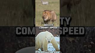 African Lion VS Polar Bear