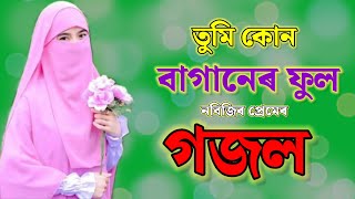 Bengali Islamic Naat || ইসলামিক সেরা গজল I| Amazing Islamic Song || Bangla Hit Gojol |Bangla Gazal.