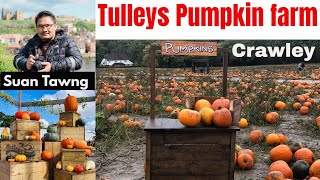 Tulleys Pumpkin Farm (Crawley, ENGLAND)