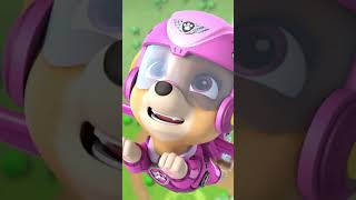 PAW Patrol : La Pat' Patrouille | Stella sauve Marcus de la chute ! #Shorts