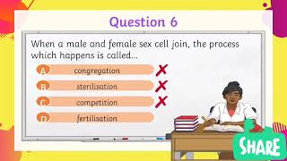 plant reproduction quiz