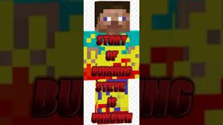 Burning Steve Is Too Dangerous#shorts #youtubeshorts #short #minecraft