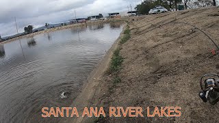 Pesca de truchas/24 de diciembre..Santa Ana River lakes/FELIZ NAVIDAD 2021