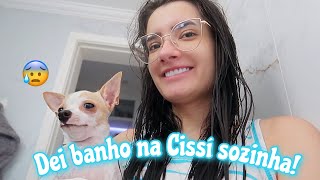 DEI BANHO NA MINHA CACHORRA SOZINHA - Mah Marangoni