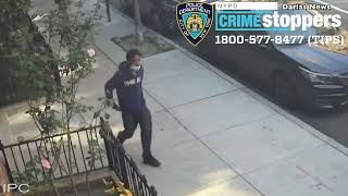 NYPD Video Blotter #1