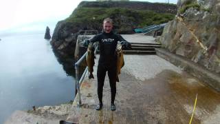 Spearfishing Ireland