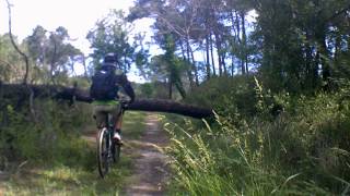 MTB Kross Bike & Montana Bike in pineta