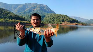 Big Size Redfin Masheer Caught In Dam...