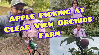 Apple picking at Clear view Orchids Farm