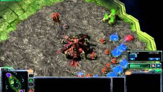 Easy Zerg 1v1