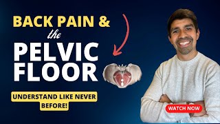 Back Pain & the Pelvic Floor