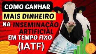 COMO GANHAR MAIS DINHEIRO NA INSEMINAÇÃO ARTIFICIAL EM TEMPO FIXO (IATF) !!!