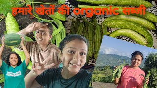 पहाड़ों में करी खेती बाड़ी। बाजार बेचने की नौबत आ गई सब्जी। बहुत खुशी हुई अपनी सब्जियां देखकर।