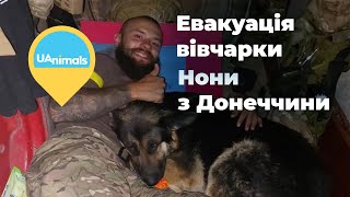 UAnimals евакуювали собаку Нону