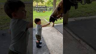 MY GENTLE GIANT 🥰 Horses 🐎 are so smart #Horse #UnconditionalLove