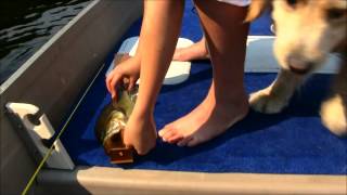 Bass Fishing With Soft Plastics