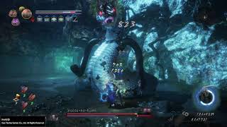 Nioh 2 Yatsu-no-Kami NG+ no damage