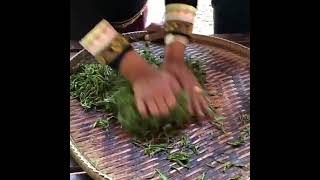 Hand Kneading • The Art of Making Tea - Asian Oasis