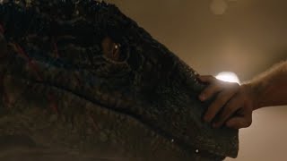 Goodbye, Blue ✄ Jurassic World: Fallen Kingdom 2018