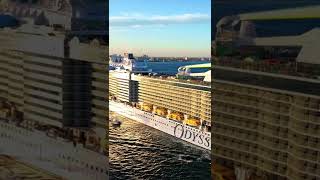 Kapal pesiar Odyssey of the seas  #shorts