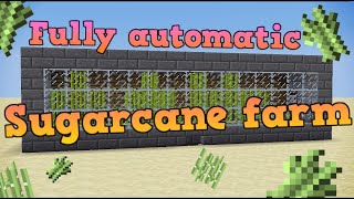 Minecraft: Fully automatic sugarcane farm (Automatine cukranendriu ferma)