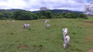 MARECHAL DEODORO - ALAGOAS  287,99 TAREFAS