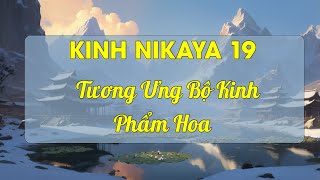 KINH NIKAYA 19 - Tương Ưng Bộ Kinh: Phẩm Hoa - TT Thích Chân Quang