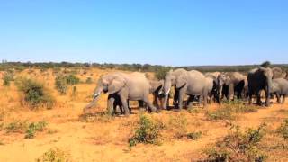 Destination Unknown Botswana, Chobe Park