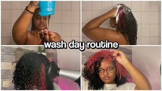 wash day routine from start to finish - 3b/3c natural hair.