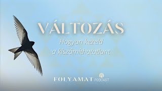 VÁLTOZÁS • Hogyan kezeld a kiszámíthatatlant • Folyamat Podcast