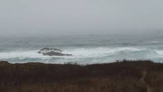 View from Ocean View Lodge, Ft. Bragg