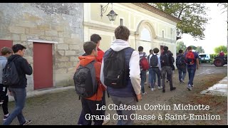 Découverte des vendanges par les élèves du lycée Saint Genès de Bordeaux