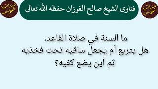 ما السنة في صلاة القاعد، هل يتربع أم يجعل ساقيه تحت فخذيه، ثم أين يضع كفيه؟ الشيخ صالح الفوزان