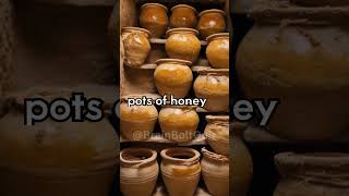 Honey Never Spoils! #honey #ancient #egypt  #facts #shorts