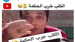 الكلب خرب الحكمة