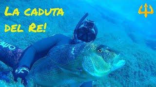 Pesca sub   :    ✴La caduta del Re.🔱(Sud Sardegna)