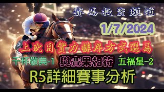 賽馬投資-1/7/2024 香港賽馬第5場貼士心水 HK Horse Racing Tips R5