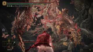 EldenRing Malenia boss NG+7 speedkill no hit