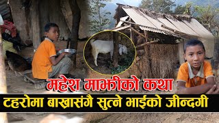 टहरोमा बाख्रा र कुखुरा संगै हुर्केका बालकको कथा || Story of Mahesh Majhi || Rabilal Poudel